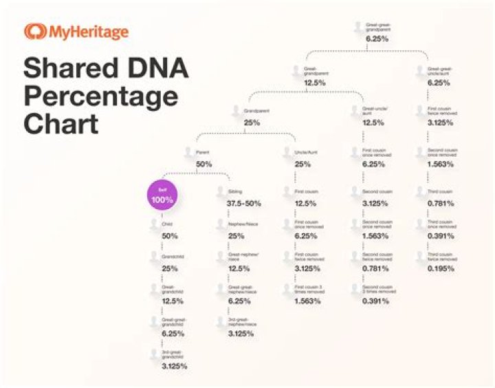 What percentage of DNA do twins share?