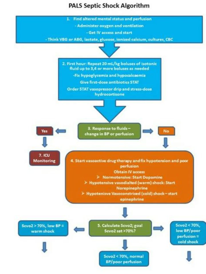What percentage of patients survive septic shock?