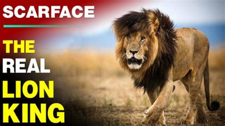 What race is Scarface?