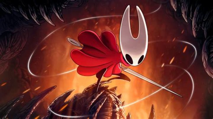 What race is the knight from Hollow Knight?