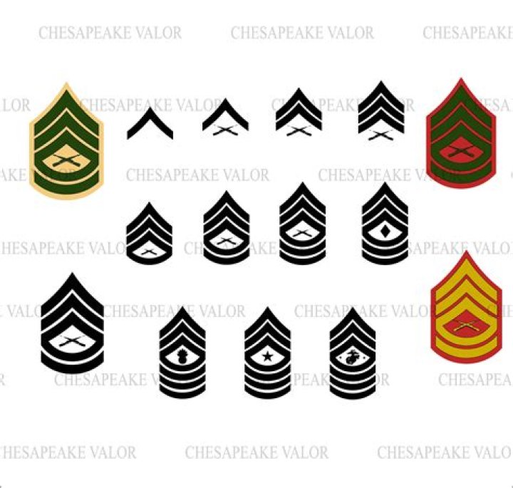 What rank is one chevron?