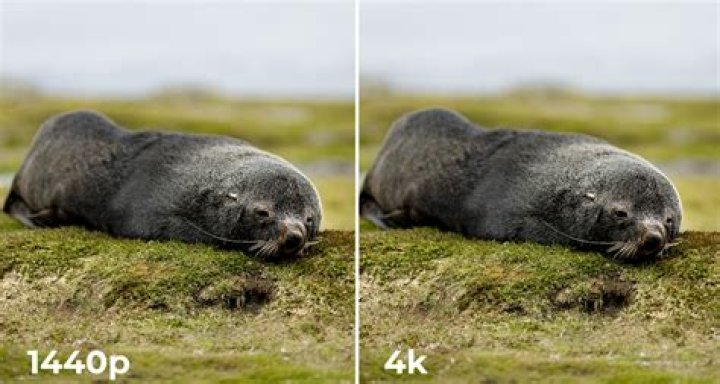 What resolution is better 4K or 1440p?
