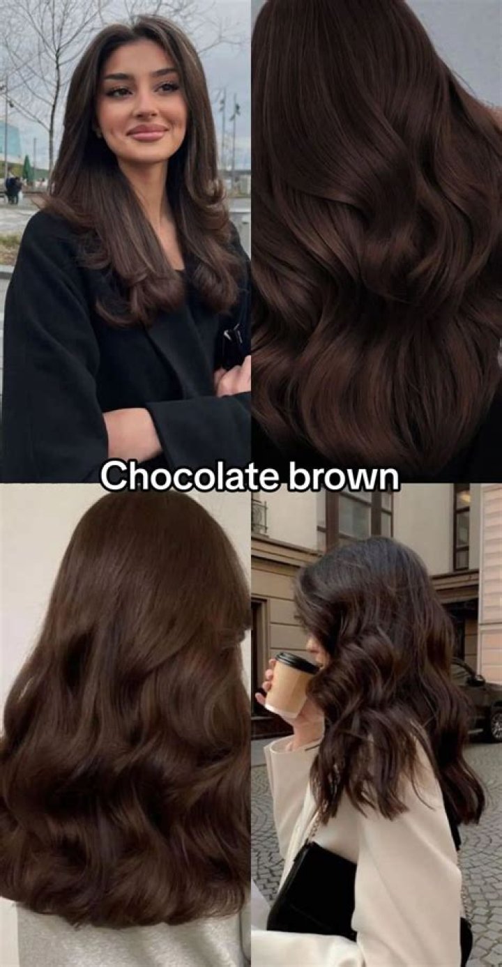 What shade of brown is chocolate brown?