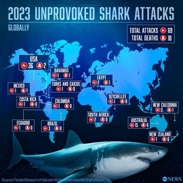 What shark kills most humans?