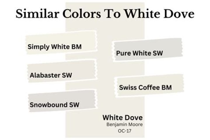What Sherwin Williams color is similar to white dove?