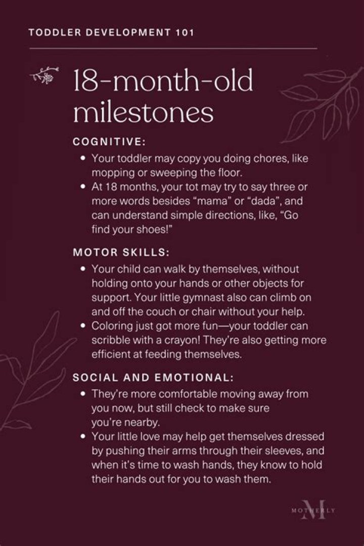 What should 18 month old be doing?