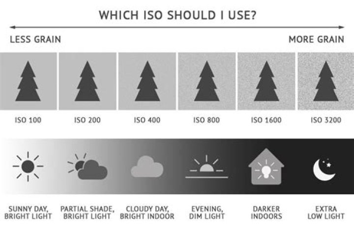 What should my ISO be at night?