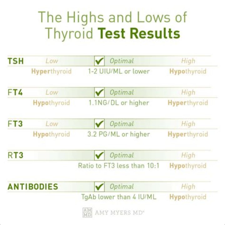 What should thyroid levels be?