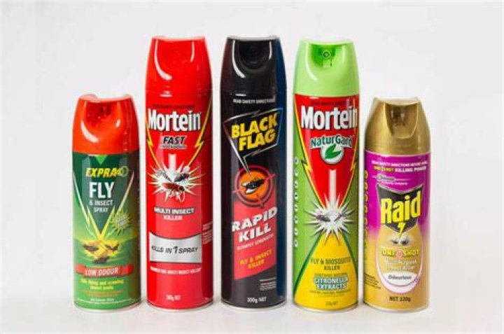 What spray kills flies instantly?
