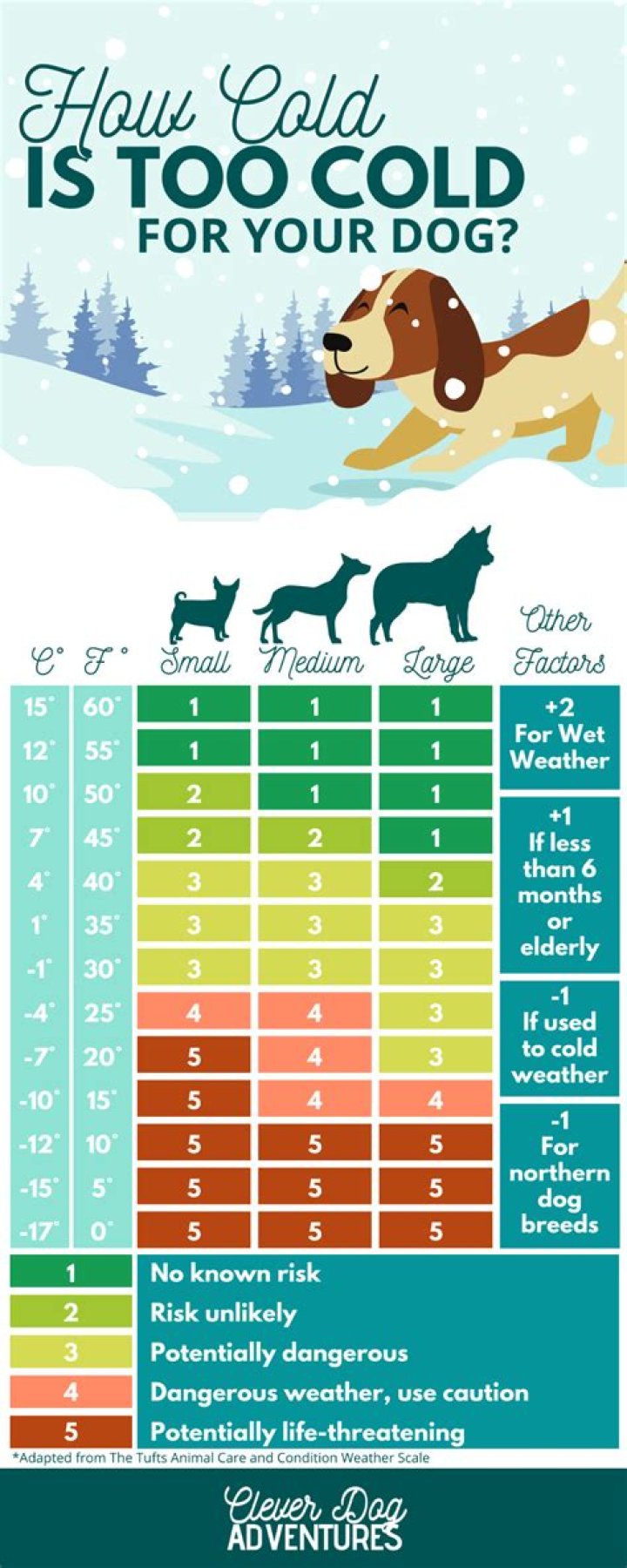 What temp is too cold for a dog?