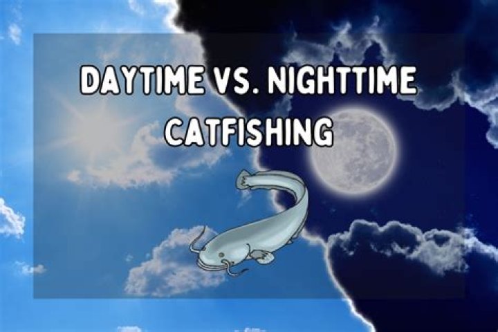 What time do catfish bite at night?