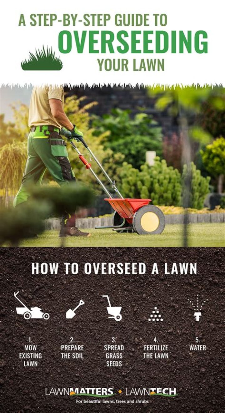 What to cover overseeding with?