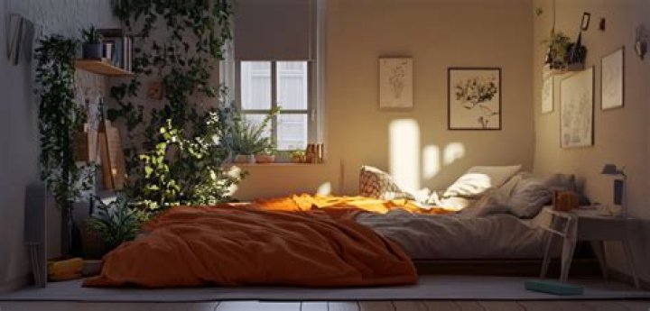 What to do if you think someone is in your house at night?