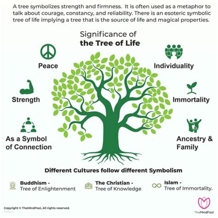 What tree of life means?
