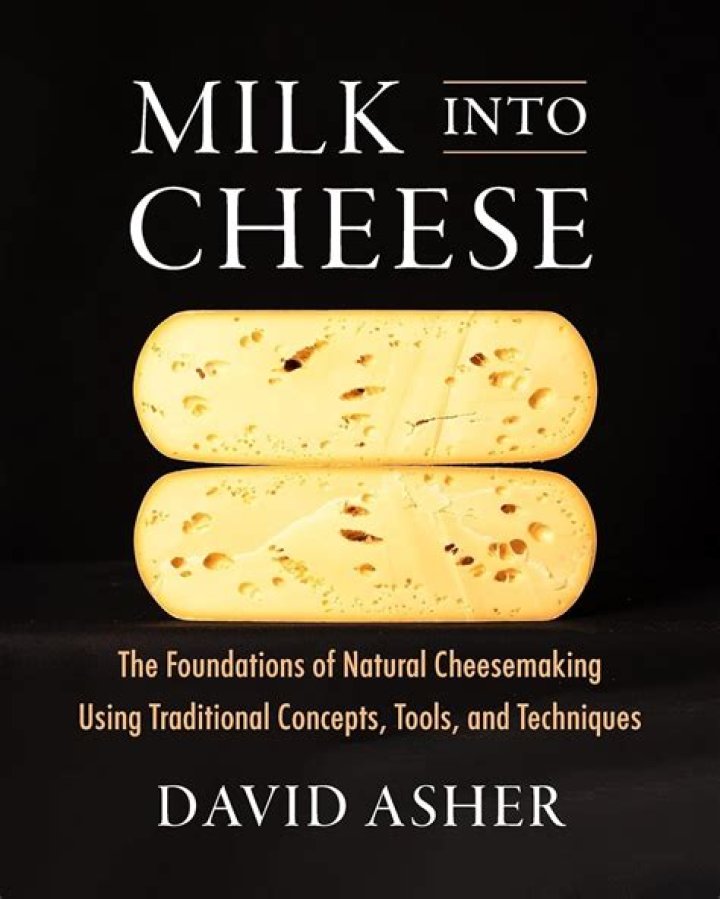 What turns milk into cheese?