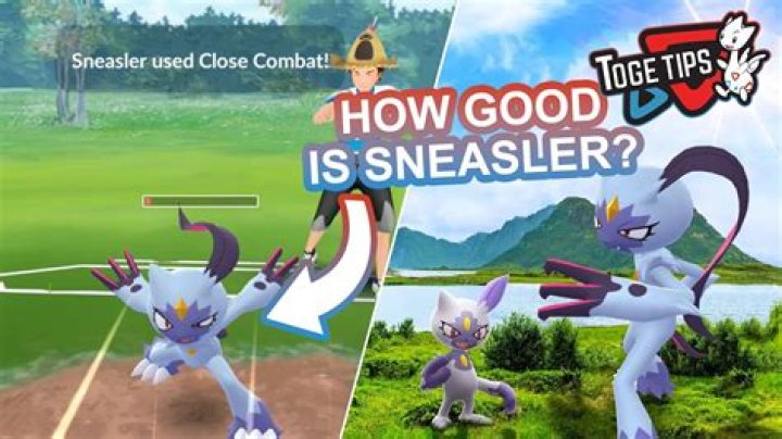 What type is Sneasler?