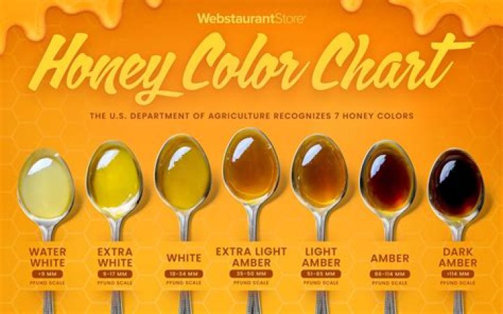 What type of honey is best for you?