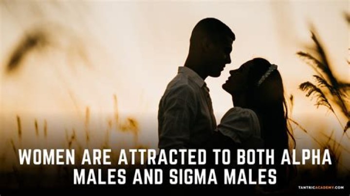 What type of woman is a beta male attracted to?