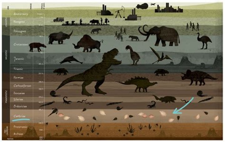 What was before dinosaurs?