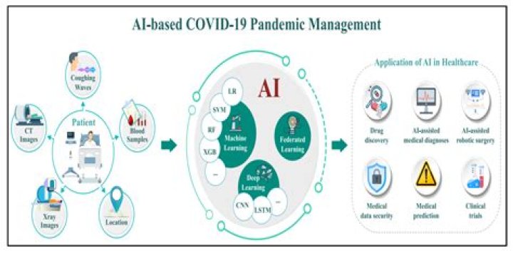 What was is the role of technology during the COVID-19 pandemic?