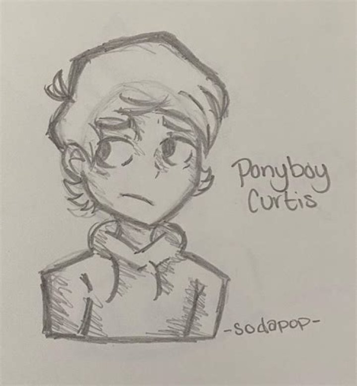 What was wrong with Ponyboy?