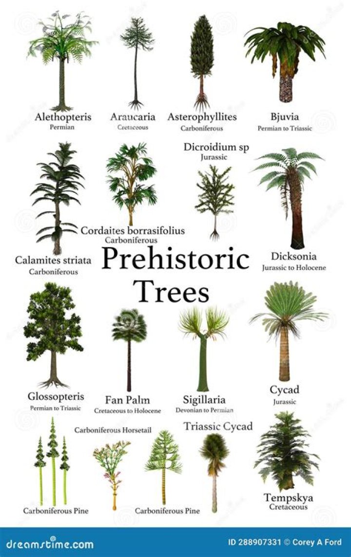 What were the first trees like?