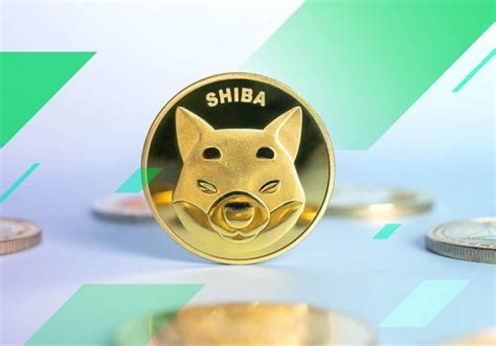 What will Shiba coin be worth in 2025?