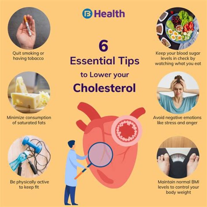 What would cause cholesterol to spike?