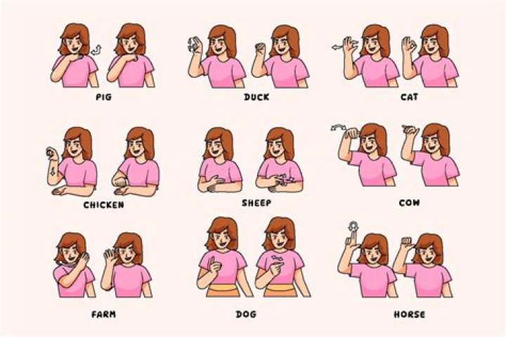 What's the ASL sign for ketchup?