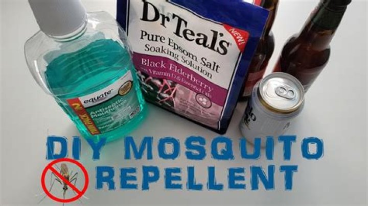 What's the best homemade mosquito repellent?