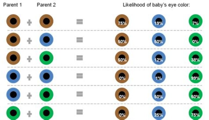 What's the most dominant eye color?