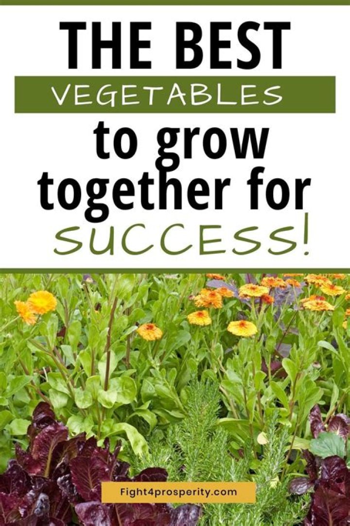 What's the quickest vegetable to grow?