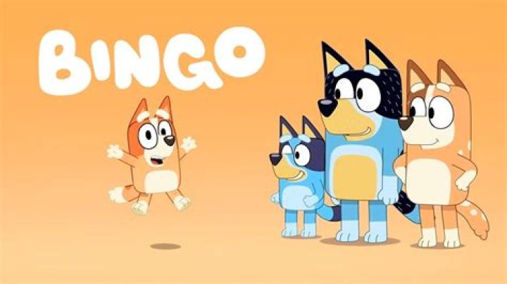 What's wrong with Bingo in Bluey?