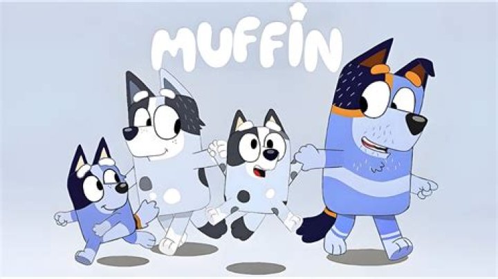 What's wrong with muffin in Bluey?
