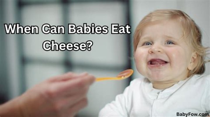 When can babies eat cheese?