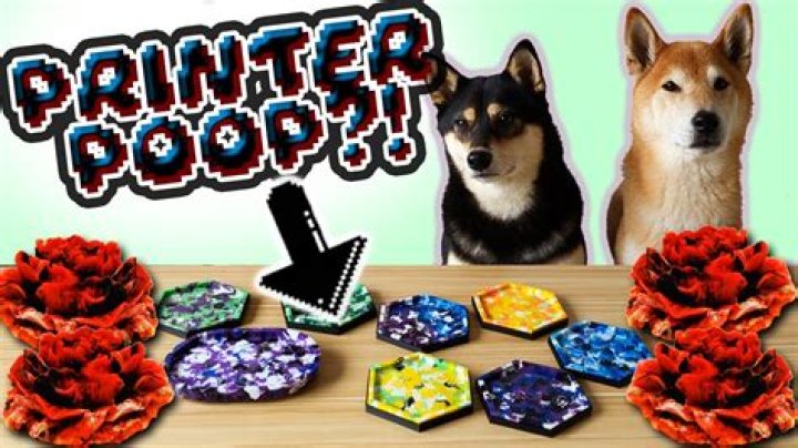 When can I reuse 2004?