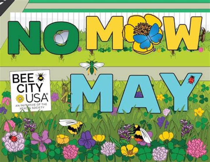 When did no mow may start?