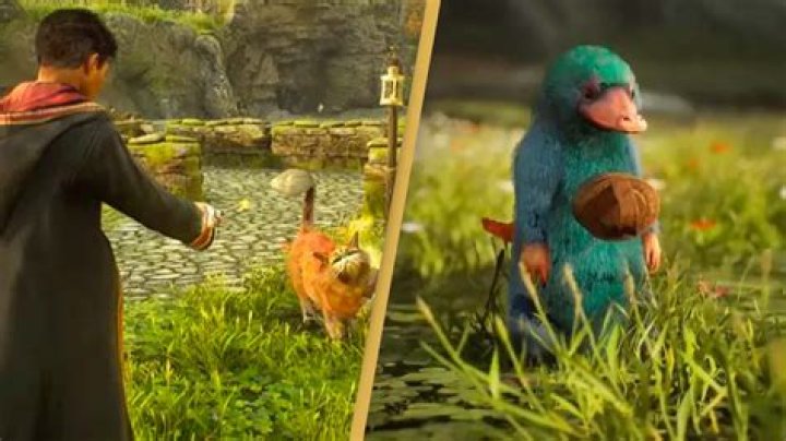 When did the Marauders start to become Animagi?