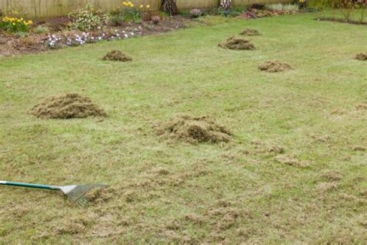 When should I add topsoil to my lawn?