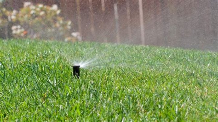 When should I start watering my lawn after winter?