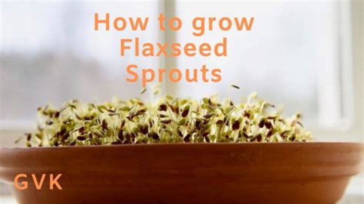 When should I take flaxseed for fertility?