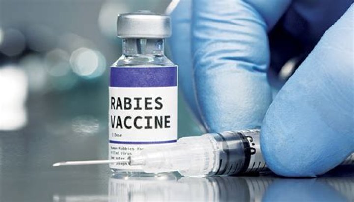 When should I take rabies injection?
