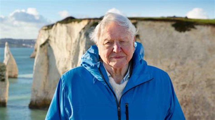 When was David Attenborough made a Sir?