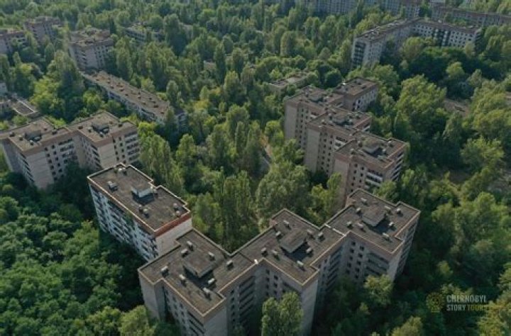 When was Nagasaki habitable again?