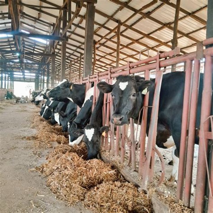 Where can I farm Hinox?