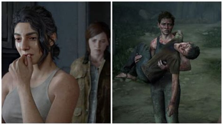 Where did Dina go in the last of us?
