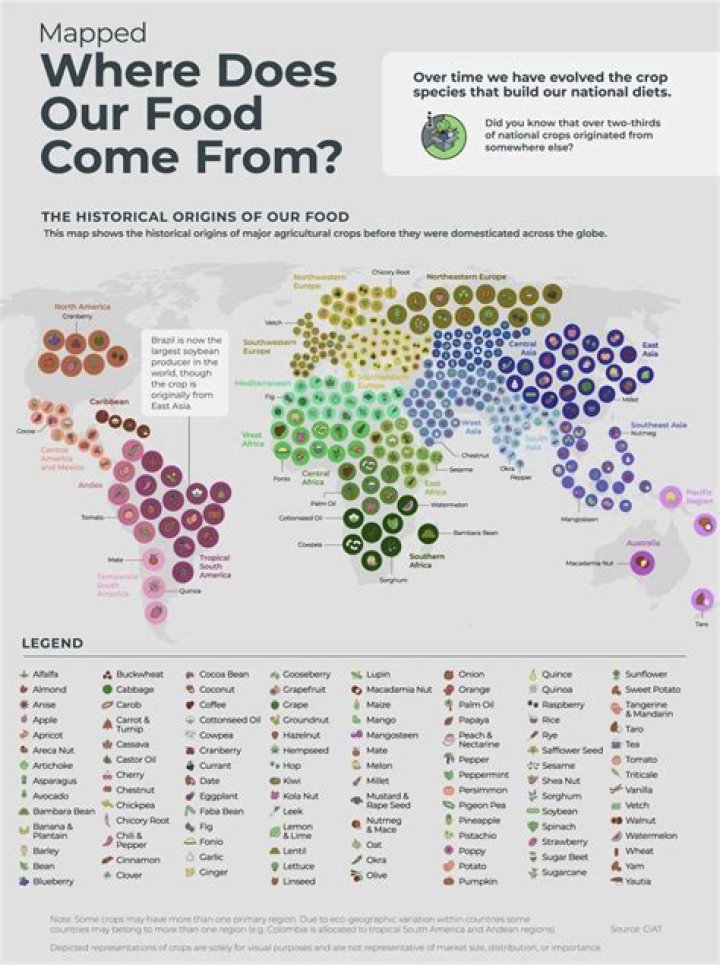 Where do Aldi foods come from?