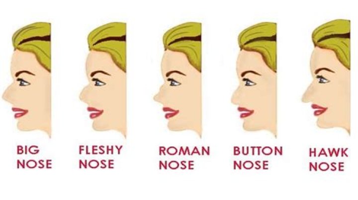 Where do big noses originate?