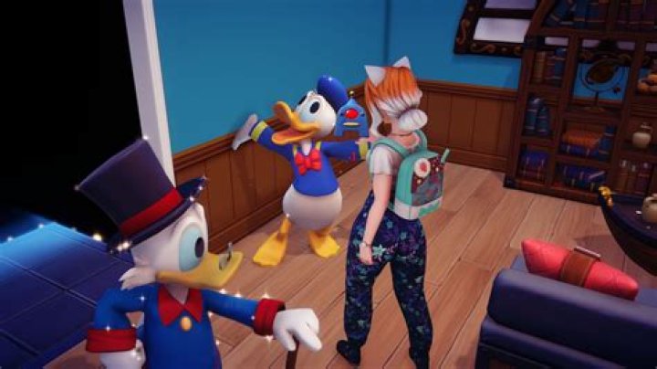 Where do you place a money tree?