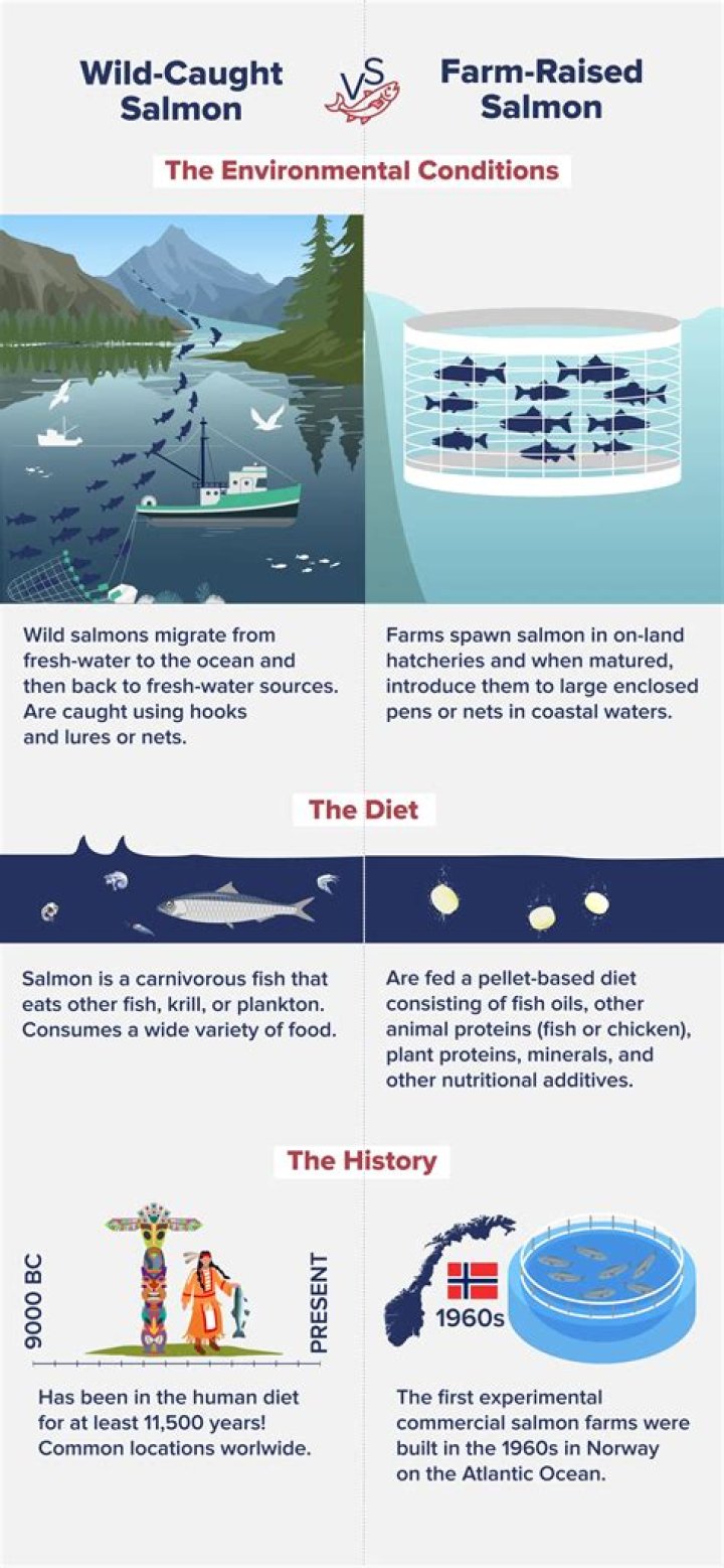 Where does farm raised salmon come from?